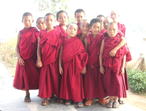 Group of young monks